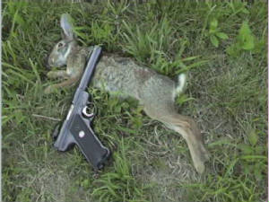 rabbit22markii.jpg